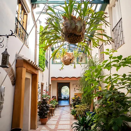 Eco Con Encanto Masia La Mota ホテル アルコイ