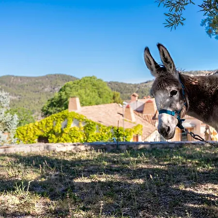 Hotel Eco Con Encanto Masia La Mota Alcoy