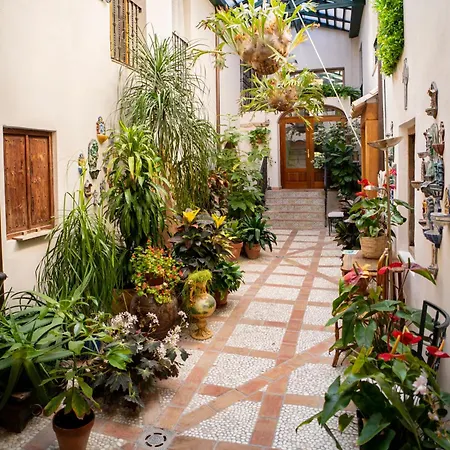 Eco Con Encanto Masia La Mota Alcoy
