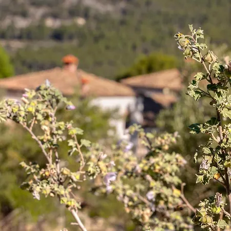 Eco Con Encanto Masia La Mota Hotel 2*