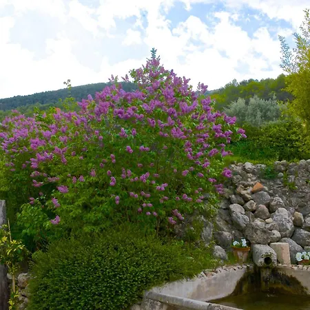 Eco Con Encanto Masia La Mota Alcoy